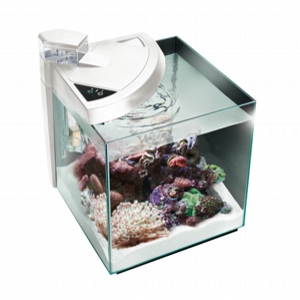 Newa AcquariO More 30 Reef BIANCO