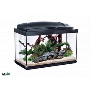 NEWA Acquario Hobby 60