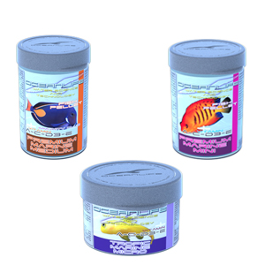 Ocean Life - Premium Marine