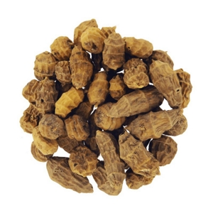 TIGER NUTS XXL - RITIRO IN NEGOZIO
