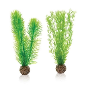 biOrb Feather Fern Set Small Green