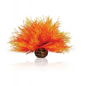 biOrb Aquatic sea lily flame