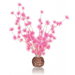 biOrb Bonsai ball pink