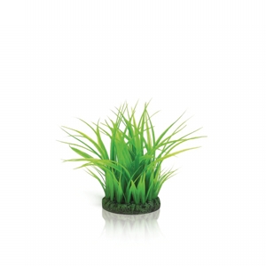 biOrb Grass ring S green