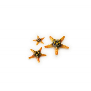 biOrb Kit 3 stelle marine Yellow