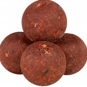 BOILHAZE TOP BOILIES AGLIO E SQUID & OCTOPUS