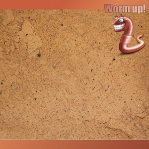 Carptrack Worm Up Mix