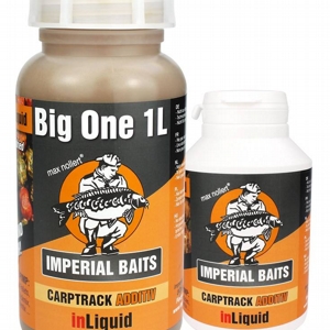 IB Carptrack inLiquid