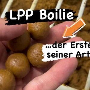 IB CARPTRACK LPP BOILIES