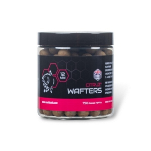 KEVIN NASH CITRUZ WAFTERS