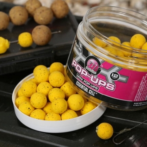 MAINLINE POP UPS MINI