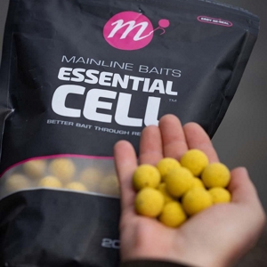 MAINLINE SHELF LIFE BOILIES ESSENTIAL CELL