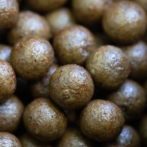 MAINLINE SHELF LIFE ISO FISH